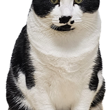 ゆうさとな