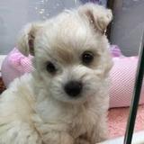心の生ゴミ等、吐き出し処理請負業者