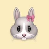 Soo【日⇔韓翻訳】【推し活】
