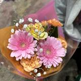 yuko5884