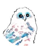 ふくろうCreate