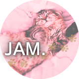 jam27277