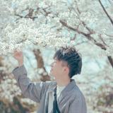 film_ribbon