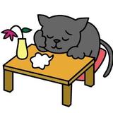 ケーネコ