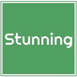 STUNNING CO LTD