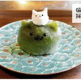 猫野タマ