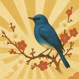 瑠璃鳥（るりちょう）