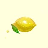ぴかうみ