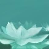 白蓮華｜復縁・恋愛専門