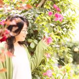 音衣の光