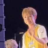 ヤジドク