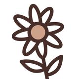 cocon_16