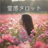 霊感タロットHINA