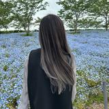 natsu writerdesigner