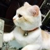 中武 佑太1