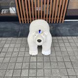 shirokuma06
