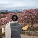 サナWedデザイナー