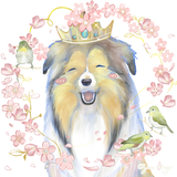 朝木 優羽