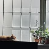 Myao Design Studio