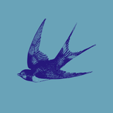 IdentityDesignStudio