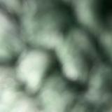3Dprii