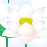 ロカチチャ