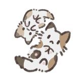 桜瀬ここあ