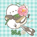 winter_