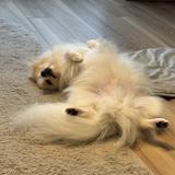 roy_0520