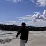 しがない高校生の文武両道×投資脳