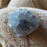 koha07blue