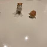 やまだです！！
