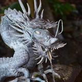 龍 心