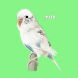 milk design