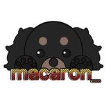 macaron__