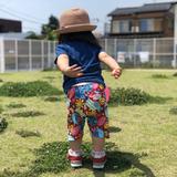 西崎達也