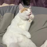 Imaibisou