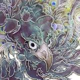 イシズミアジト　illustrator