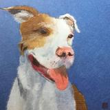 Wanko Portrait