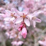 ゆっくり聞きます┃保育士ななこ
