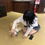 やまTAMA