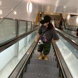 Misa_free