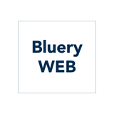 webdesigner_bluery
