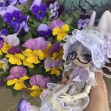 Day★ドール＆ぬいの占い師