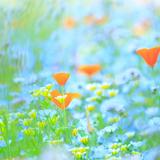 ⭐️ちひろ⭐️