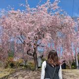 わるーちぇ rumi