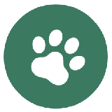 ねこのて_222