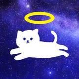 モンティ_monti