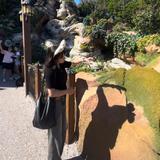 moka_88438