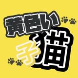 黄色い子猫